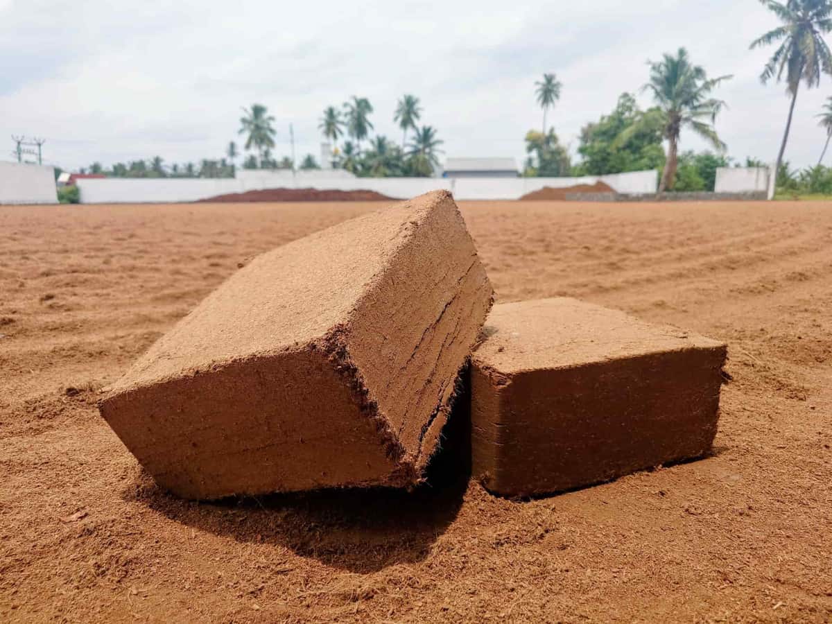 Coconut coir and soil substrate blocks, illustrating a bioactive substrate mix