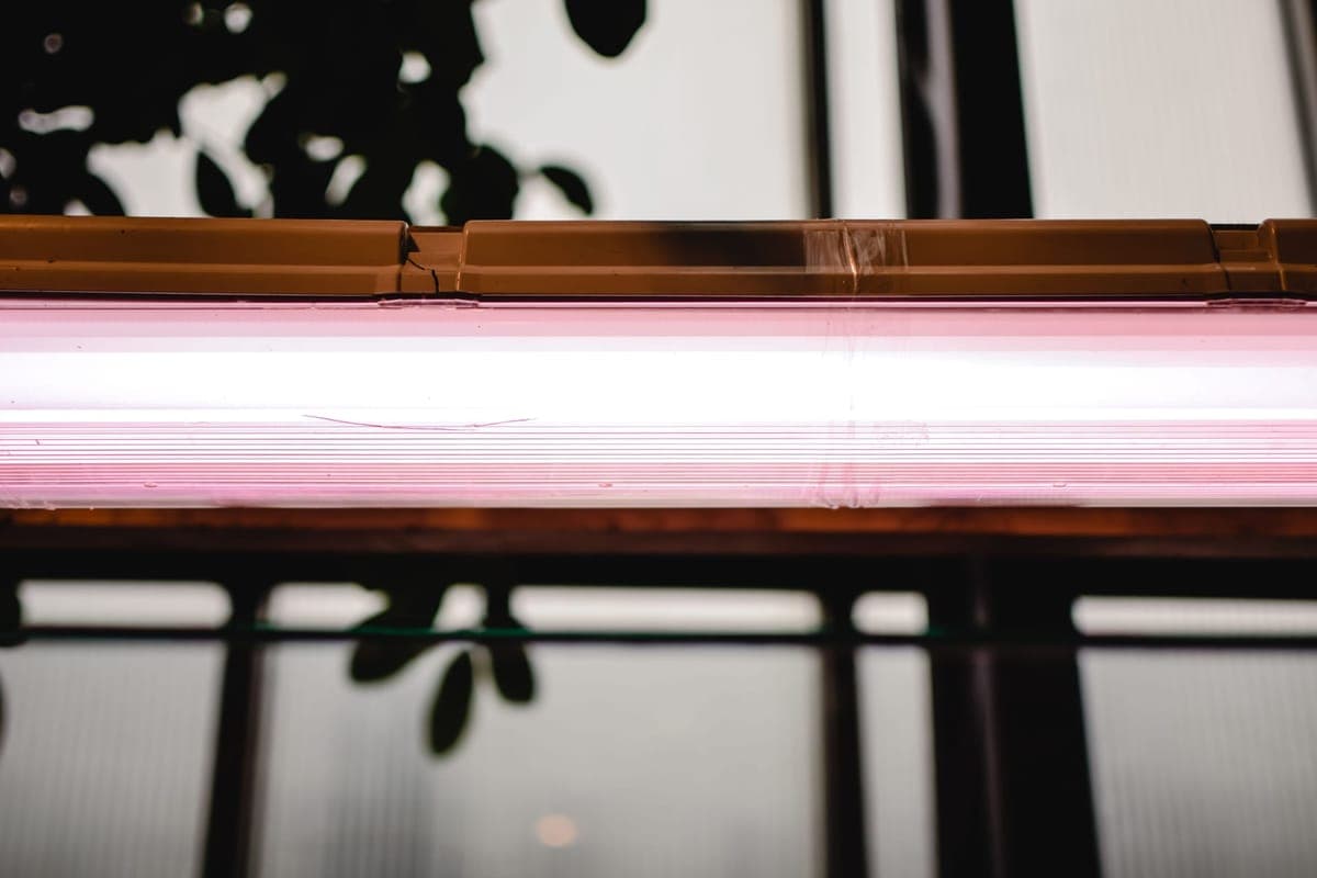 A fluorescent tube light fixture, illustrating the T5 HO linear UVB class